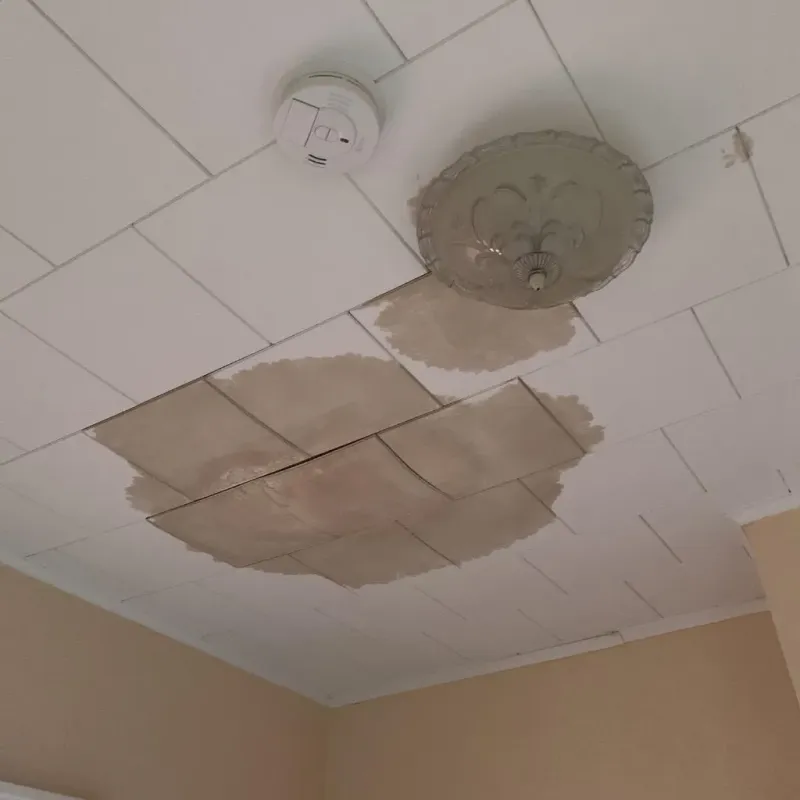 Ceiling Water Damage Repair in McLean County, ND