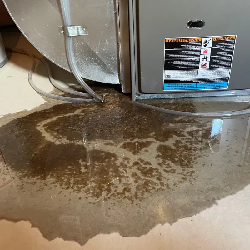Pipe Burst and Leak Restoration in McLean County, ND